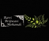 Brijwasi Mehandi